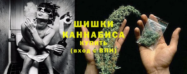 мяу мяу кристалл Гусь-Хрустальный