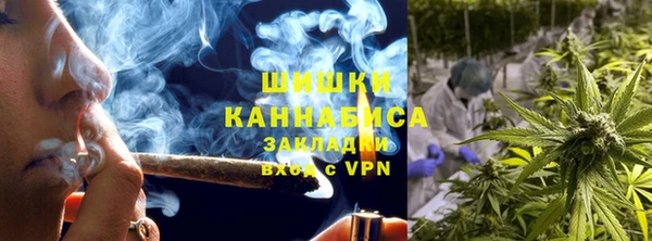 ГАЛЛЮЦИНОГЕННЫЕ ГРИБЫ Дмитров