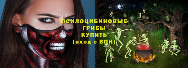 крисы Гусиноозёрск